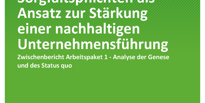 Cover der Publikation TEXTE 102/2019 Umweltbezogene und menschenrechtliche Sorgfaltspflichten als Ansatz zur Stärkung einer nachhaltigen Unternehmensführung