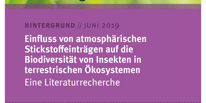 Cover des Hintergrundpapiers Einfluss von atmosphärischen Stickstoffeinträgen auf die Biodiversität von Insekten in terrestrischen Ökosystemen