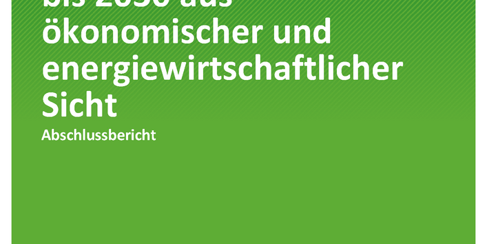 Cover der Publikation TEXTE 24/2020 Optionen für Biogas-Bestandsanlagen bis 2030 aus ökonomischer und energiewirtschaftlicher Sicht