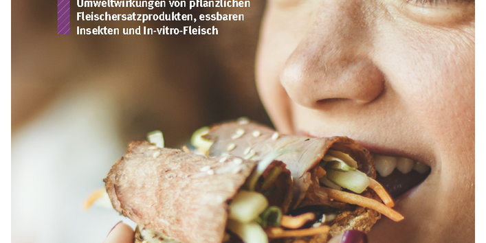 Cover der Fachbroschüre Fleisch der Zukunft