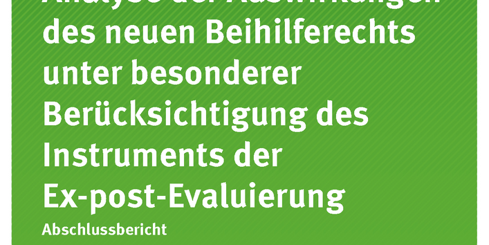 Cover der Publikation Texte 36/2018 EU-Beihilfepolitik – Analyse der Auswirkungen des neuen Beihilferechts unter besonderer Berücksichtigung des Instruments der Ex-post-Evaluierung