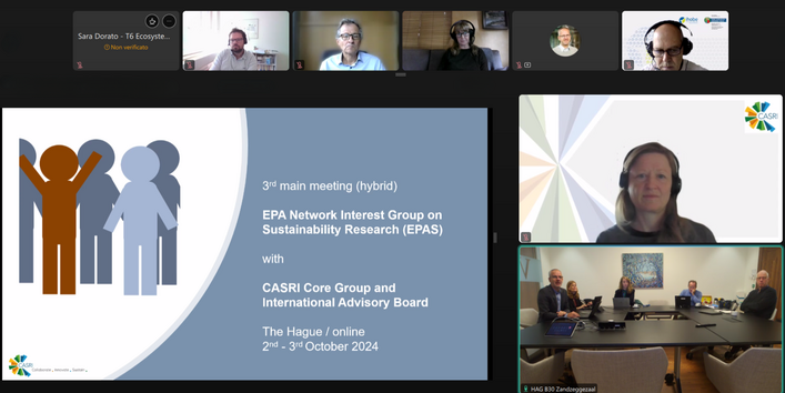 A screenshot  of a hybrid meeting, held in person and online.