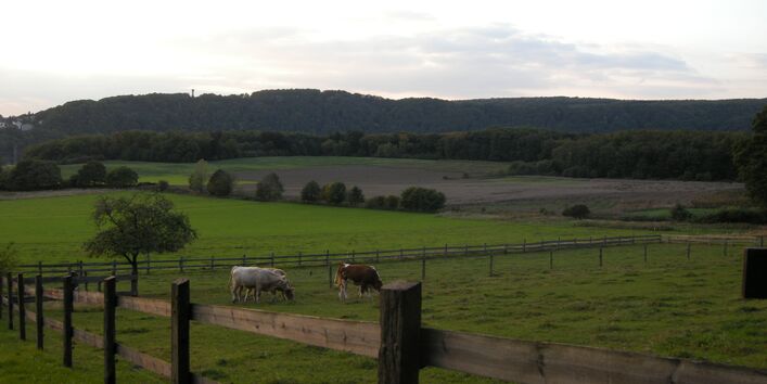 Foto: Blick vom Kaiserberg