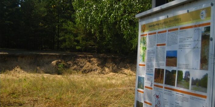 Foto eines Braunerdeaufschlusses mit Infotafel