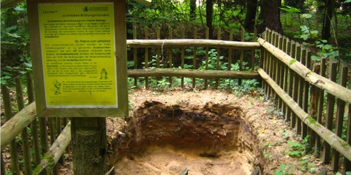 Foto einer kolluvial überprägten Braunerde