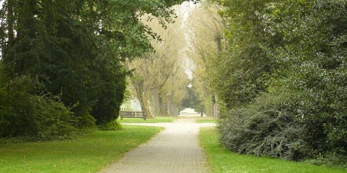 Foto des Schlossparks an der Universität Hohenheim