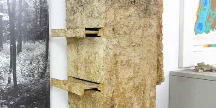 Foto eines Bodenkastens im Institut für Bodenkunde