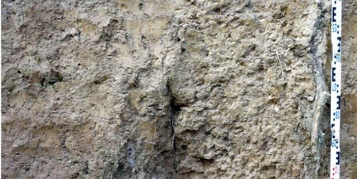 Foto eines Pseudogleys