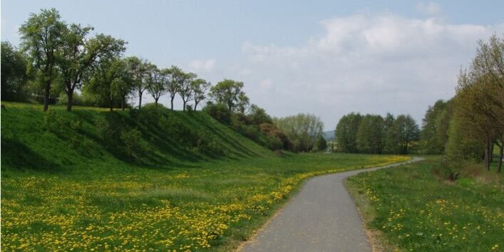 Foto einer Uferstraße des Schwingbachtals