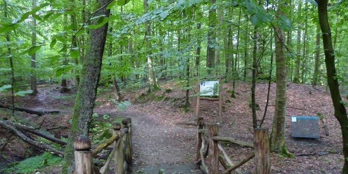 Foto des Bodenerlebnispfades