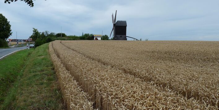 Foto der Lanschaft um Hildesheim