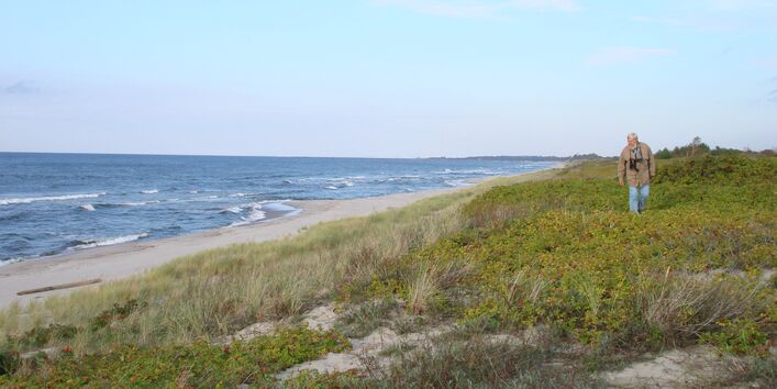 Фотография дюн на Куршской косе