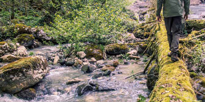 Titelseite der Broschüre "Die Wasserrahmenrichtlinie – Deutschlands Gewässer 2015" mit einem Hintergrundfoto eines Mannes, der über einen bemoosten Baumstamm läuft, der ans Ufer eines naturnahen Bergbaches gefallen ist. Unten die Logos von Bundesumweltministerium und Umweltbundesamt.