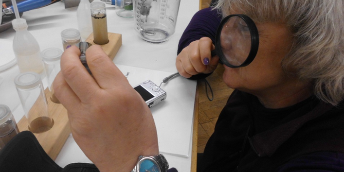 Genauere Inaugenscheinnahme aufgeschlämmter Bodenteilchen in einem Probenglas mit Wasser