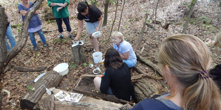 Erkundung des Bodens mit dem Bodenrahmen (Bodenfenster)