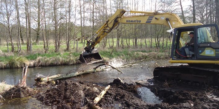 The river Nebel during the restoration work. An excavator places a tree trunk into the water. On the opposite bank, trees and shrubs form a riparian vegetation strip.