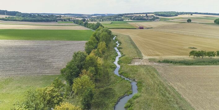 Luftbild der Wern, die schwach geschwungen in einem Entwicklungskorridor verläuft. Ein Ufer ist mit dichten Gehölzen bewachsen. Entlang des gegenüberliegenden Ufers wachsen Gräser. An den Entwicklungskorridor grenzen landwirtschaftliche Flächen an.