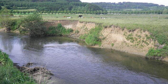 Foto: Ein Fluss mit starker Eintiefung. Im Hintergrund sind landwirtschaftlich genutzte Flächen zu sehen, die bis an den Gewässerrand reichen.