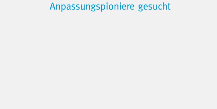 Schriftzug Blauer Kompass auf blauer Fahne, darunter Schriftzug Anpassungspioniere gesucht