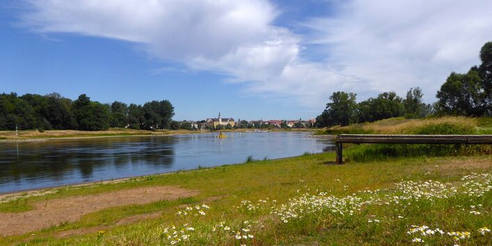 Die Elbe bei Coswig