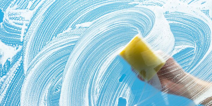 Schwamm auf einer Fensterscheibe