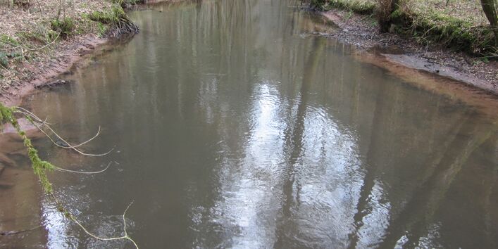 Foto des Flusses Wieslauter