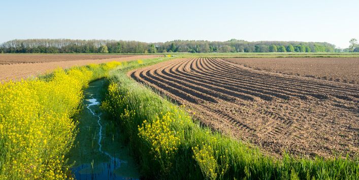 Footo eines kleinen Baches entlang einer Ackerfläche