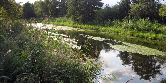 Ein Foto des Flusses Nebel