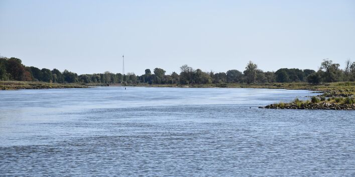 Ein Foto des Flusses Oder