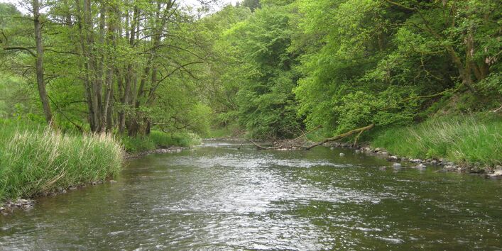 Foto des Flusses Our