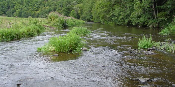 Foto des Flusses Prüm