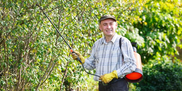 Hobbygärtner bei der Ausbringung von Pflanzenschutzmitteln