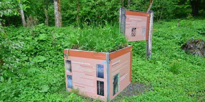 Kubus mit einem Grundwasserboden (Gley)