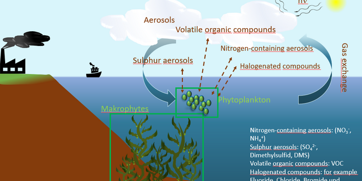 Simplified illustration of the gas exchange of aerosols above the sea surface.