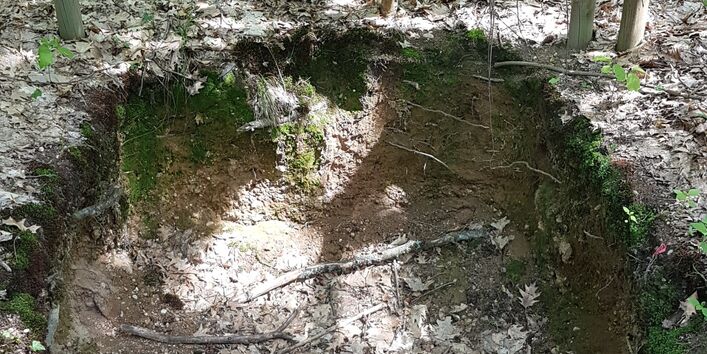 Die begehbare Profilgrube ermöglicht das Betrachten einer Parabraunerde