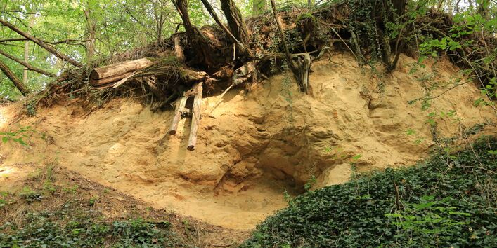 Bodenaufschluss, Station 3 Klausdorfer Tongruben
