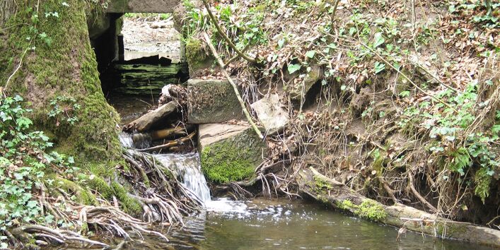 Naturpark "Schwäbisch-Fränkischer Wald"