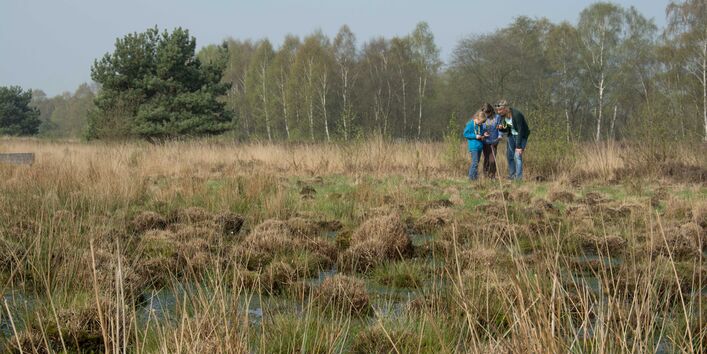 Hochmoor am Emsland Moormuseum