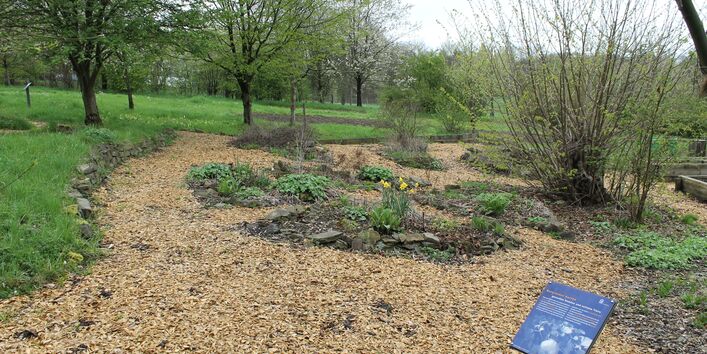Kräutergarten in der Station Natur und Umwelt