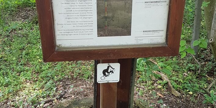 Infotafel "Brauner Auenboden"