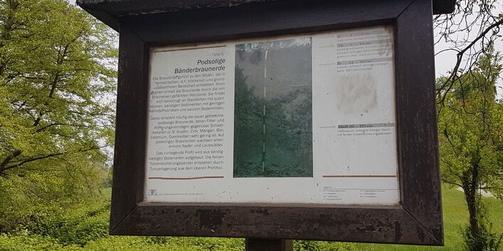 Infotafel "Podsolige Bänderbraunerde"