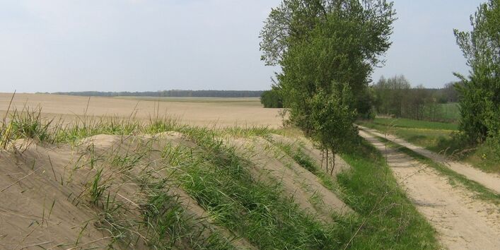 Bodenverlagerung durch Wind bei Worin in Brandenburg 
