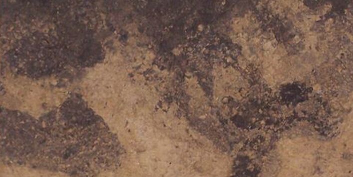 Lackprofil einer Parabraunerde über einer fossilen Schwarzerde