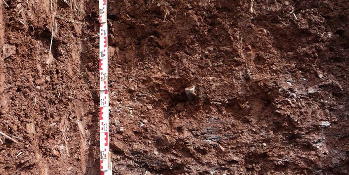 Das Bodenprofil am Standort Alzenau-Michelbach, Braunerde