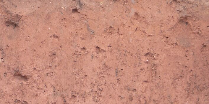 Das Bodenprofil am Standort Bürgstadt, Typ Braunerde aus Bundsandstein