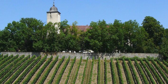Die Landschaft an der Station Hallburg