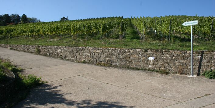 Weg zur Bodenstation