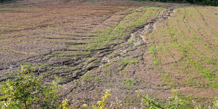 Auf dem Foto ist ein landwirtschaftlich genutzter Boden zu sehen. Dieser ist stark durch Bodenerosion, mutmaßlich im Zusammenhang mit einem Starkregenereignis, geprägt. Durch den Boden ziehen sich viele kleinere und ein großer, sandiger Riss durch den fruchtbaren Boden weggespült wurde.