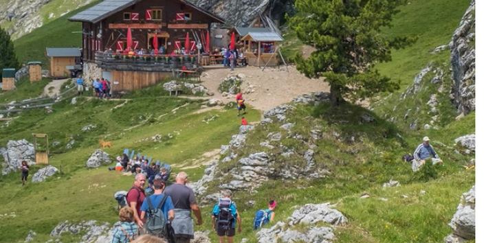 Bettwanzen werden vor allem durch Tourismus und Handel verschleppt. Man findet sie in Privathaushalten und besonders in touristisch genutzten Unterkünften wie Hotels, Hostels, Ferienwohnungen und Schutzhütten. Zwischen diesen Orten werden Bettwanzen durch Gäste verbreitet. Besonders in Schutzhütten in den Bergen ist die Bekämpfung herausfordernd, da viele Hütten für Schädlingsbekämpfungsfirmen nur schwer erreichbar sind und häufig auch die Bauweise Bekämpfungsmaßnahmen erschwert. Daher ist Vorbeugung besond