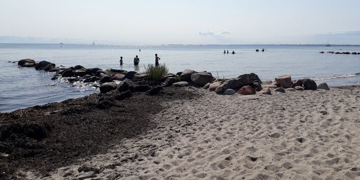 Sandstrand mit Badenden, im Vordergrund Treibsel.